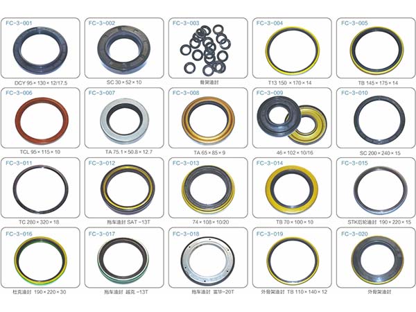 Oil seal (1)
