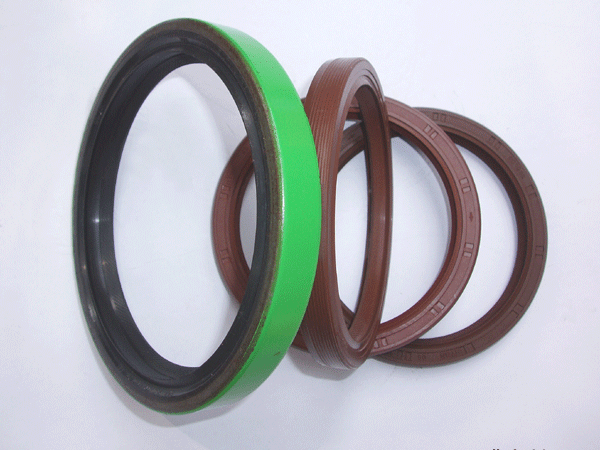 Crankshaft oil seal (1)