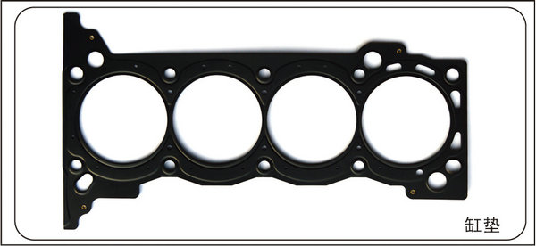 Cylinder gasket (cylinder mattress) (21)