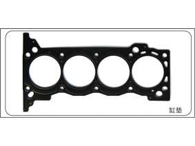 Cylinder gasket (cylinder mattress) (21)