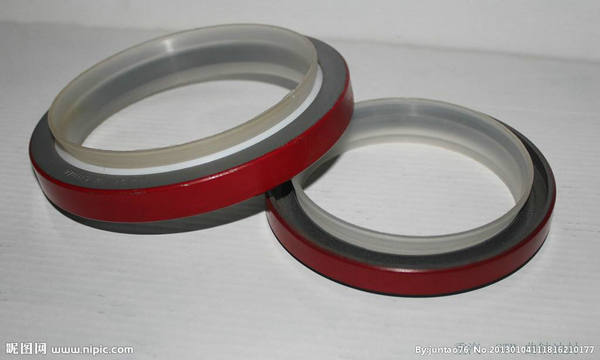 Crankshaft oil seal (3)