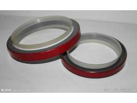 Crankshaft oil seal (3)