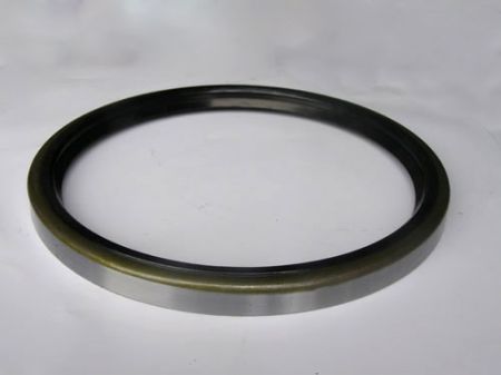 Crankshaft oil seal (4)