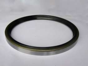 Crankshaft oil seal (4)
