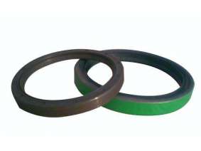 Crankshaft oil seal (2)