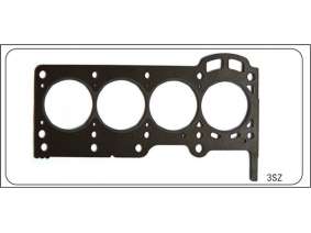 Cylinder gasket (cylinder mattress) (22)