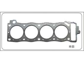Cylinder gasket (cylinder mattress) (34)