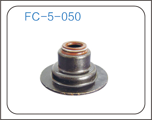 Valve oil seal (10)