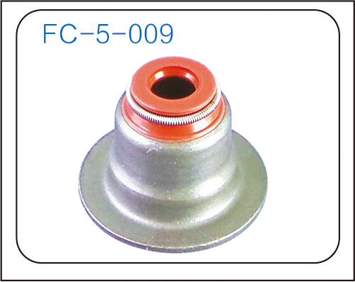 Valve oil seal (19)