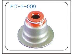 Valve oil seal (19)