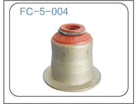 Valve oil seal (14)