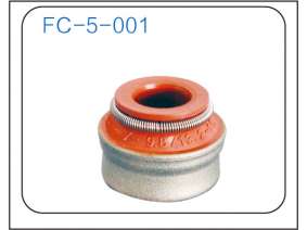 Valve oil seal (11)