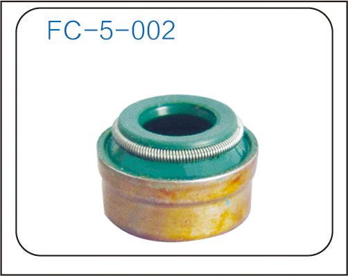 Valve oil seal (12)
