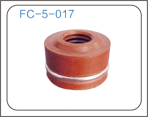 Valve oil seal (27)