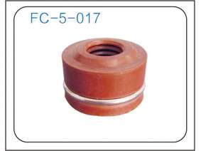 Valve oil seal (27)
