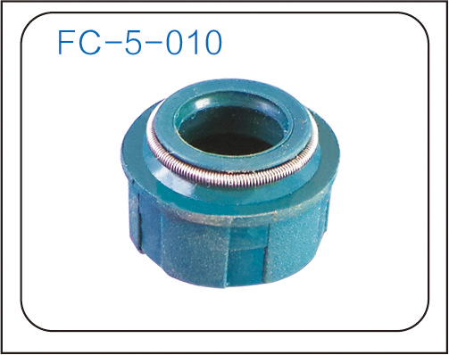 Valve oil seal (20)