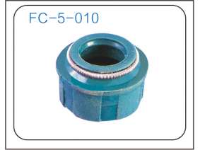 Valve oil seal (20)