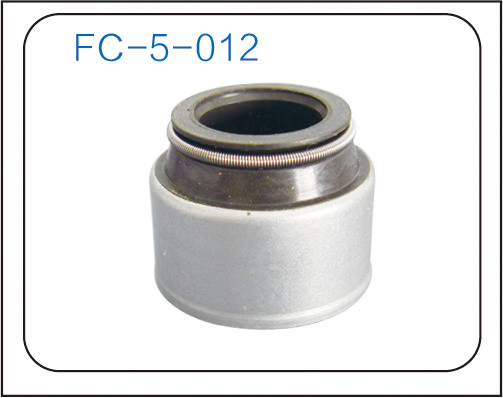 Valve oil seal (22)