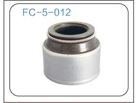 Valve oil seal (22)