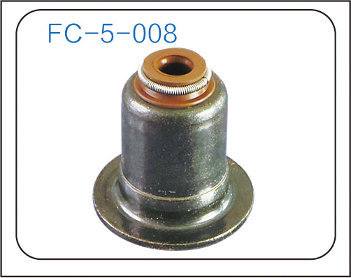 Valve oil seal (18)
