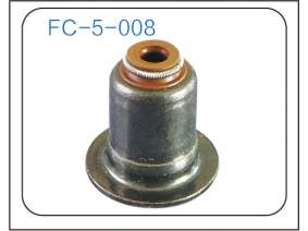 Valve oil seal (18)
