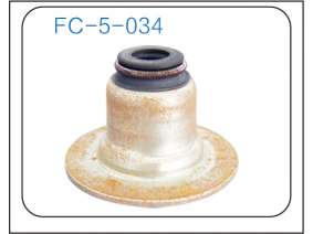 Valve oil seal (44)