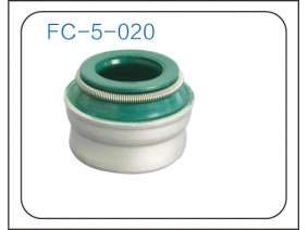 Valve oil seal (30)