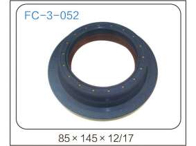 oil seal (22)