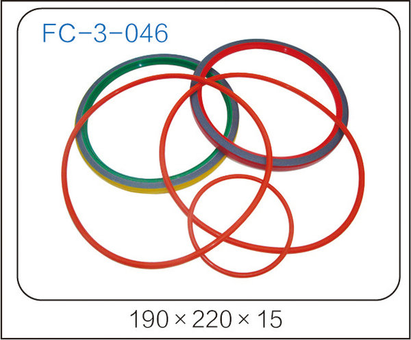 oil seal (16)