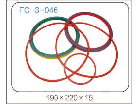 oil seal (16)