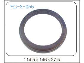 oil seal (25)