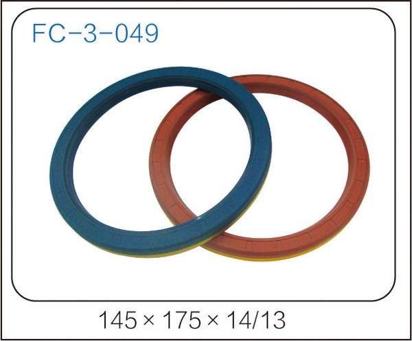 oil seal (19)