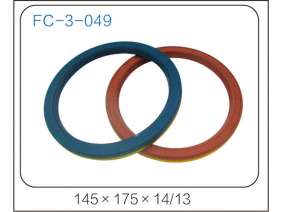 oil seal (19)