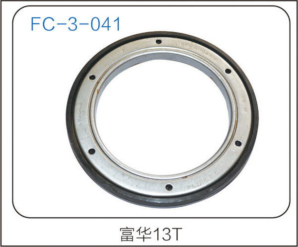 oil seal (12)