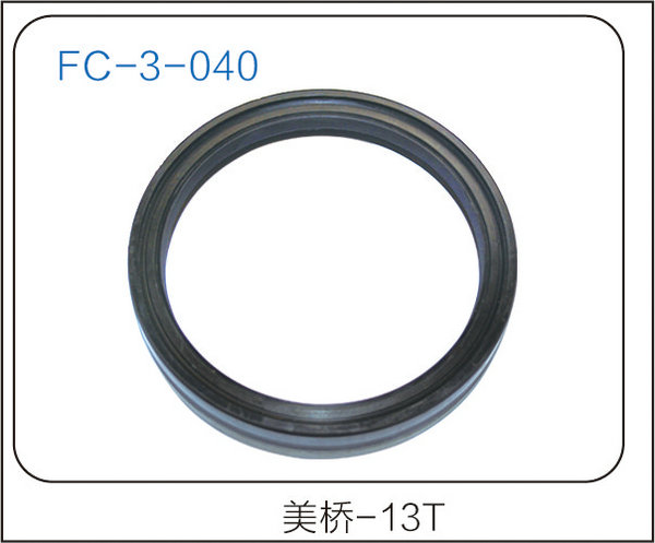 oil seal (11)