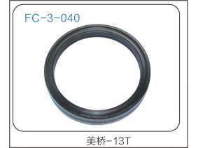 oil seal (11)