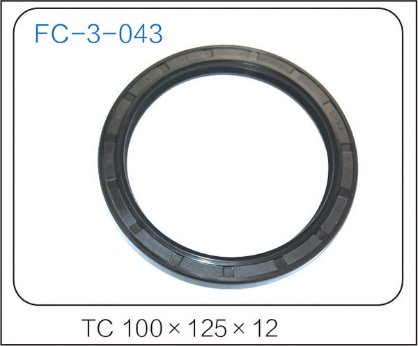 oil seal (14)