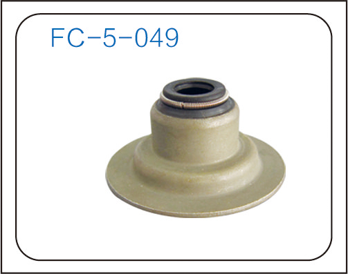 Valve oil seal (9)