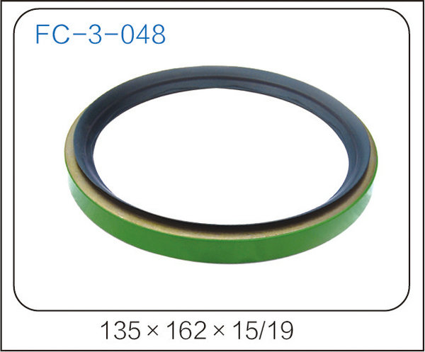 oil seal (18)