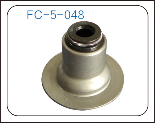 Valve oil seal (8)