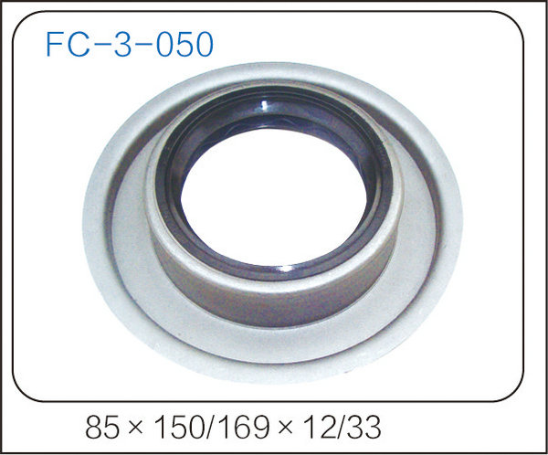 oil seal (20)