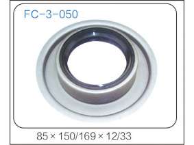 oil seal (20)