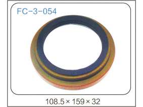 oil seal (24)