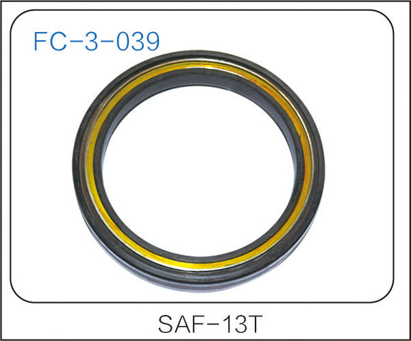 oil seal (10)