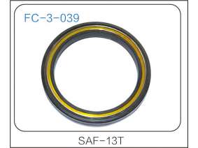 oil seal (10)