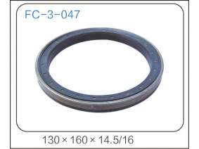oil seal (17)