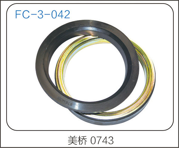 oil seal (13)