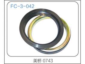 oil seal (13)