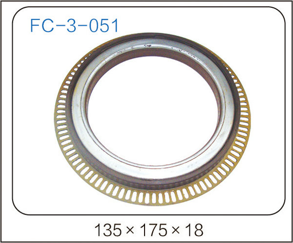 oil seal (21)