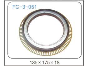 oil seal (21)